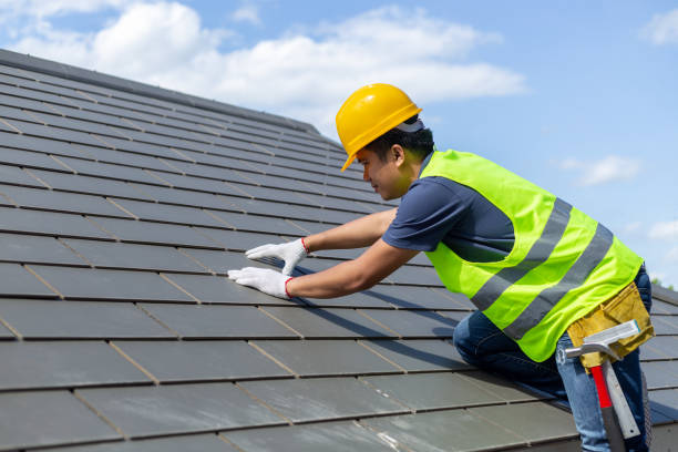 Best Local Roofing Companies  in Blissfield, MI