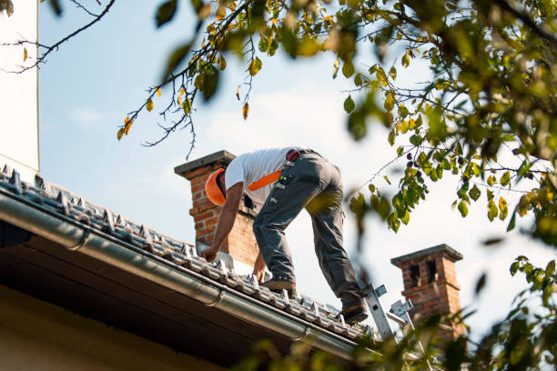 Best Residential Roofing Contractor  in Blissfield, MI