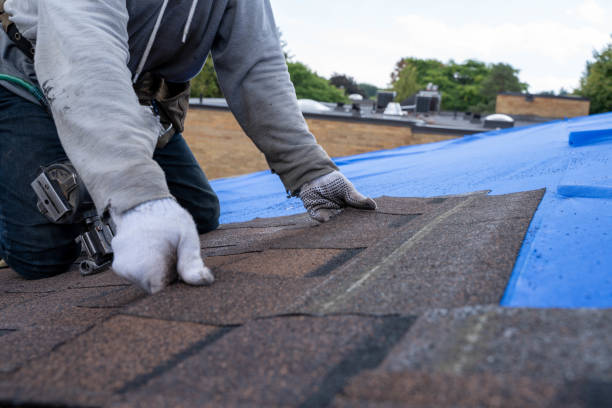 Best Storm Damage Roof Repair  in Blissfield, MI