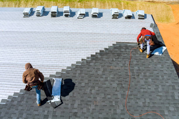 Best Storm Damage Roof Repair  in Blissfield, MI