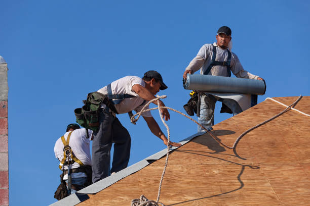 Best Metal Roofing Contractor  in Blissfield, MI