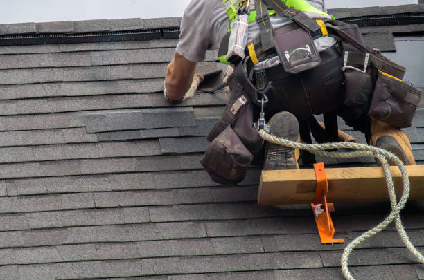 Best Residential Roofing Contractor  in Blissfield, MI