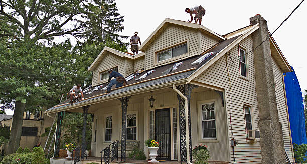 Best Roof Repair Specialists  in Blissfield, MI