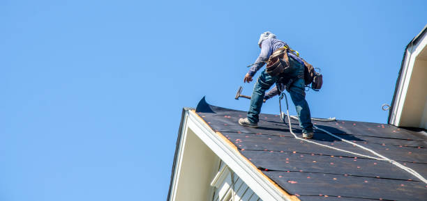 Best Roof Installation Near Me  in Blissfield, MI